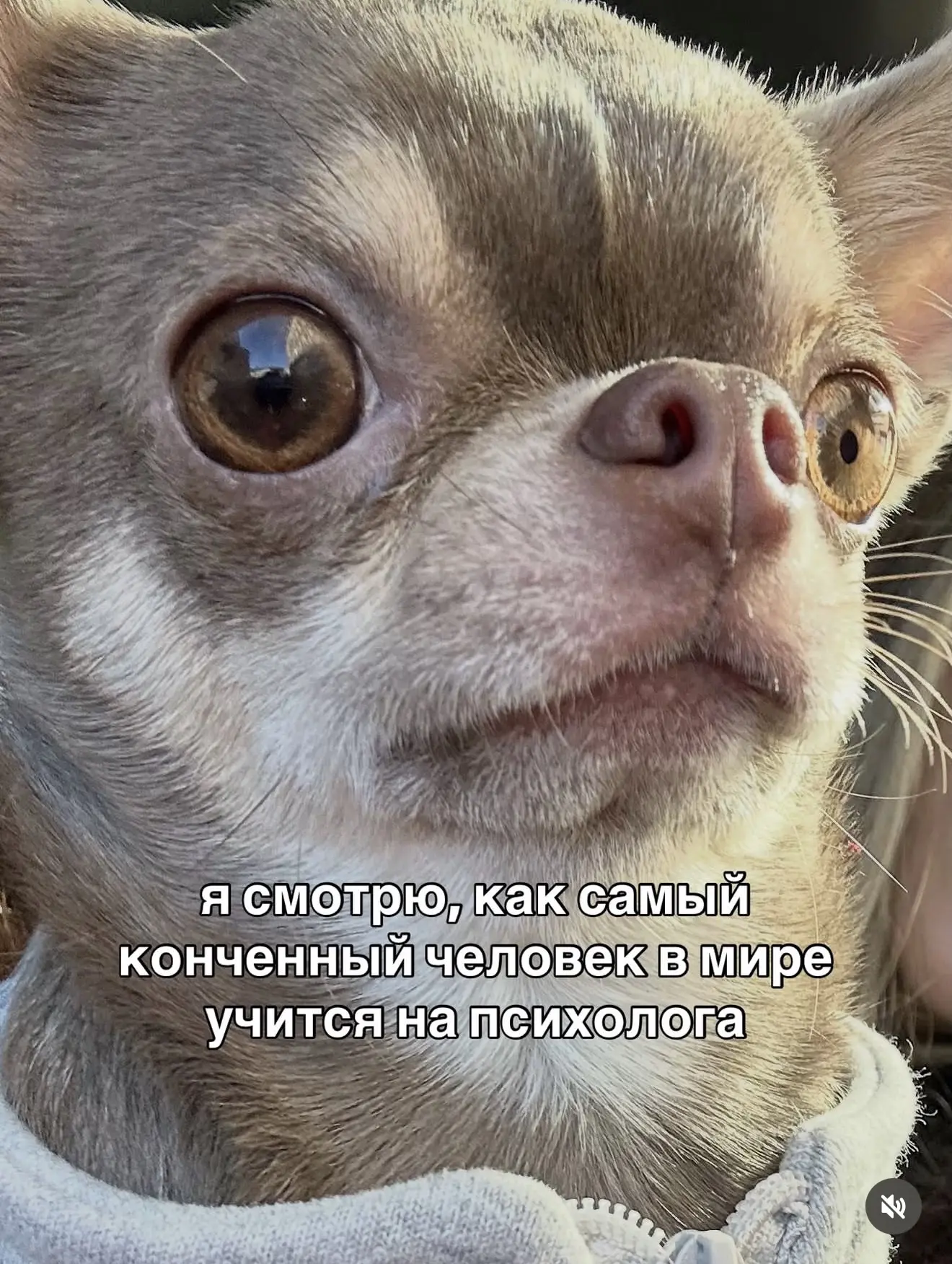 Зато сессию сдала наконец-то 🔥 

Оооф еще 1,5г учиться и все 🙈 

Следующий год еще сложнее и насыщ