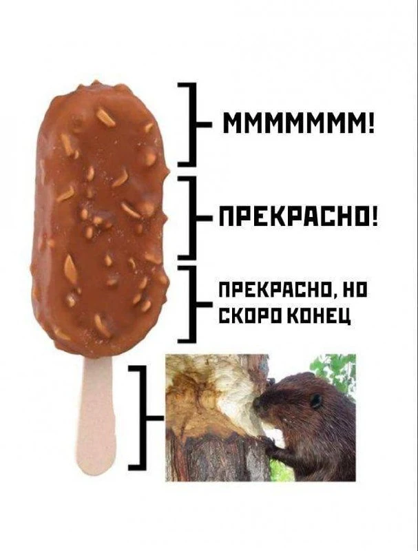 Фестиваль мороженого уже сегодня🍦
Придешь?🍦