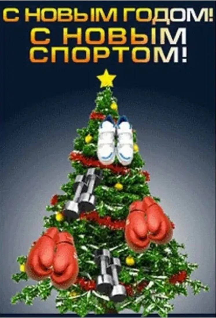 Дорогие спортсмены, тренеры и родители юных спортсменов!
С наступающим Новым 2026 годом!
Это волшебн