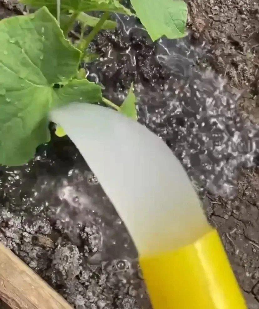 Самая популярная подкормка 
 На заметку 👇
Таким раствором поливают огурцы и клубнику во время цвете