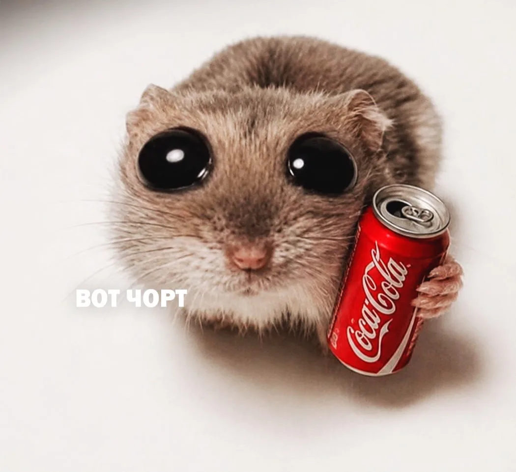 🐱 Если регулярно ПИТЬ КОЛУ, то это увеличит риск РАКА ПЕЧЕНИ в два раза — связь обнаружили учёные п