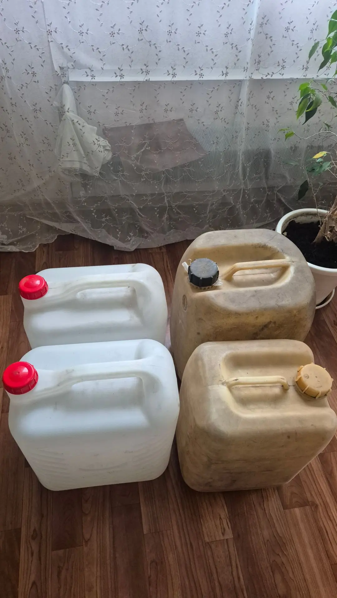 Продам канистры