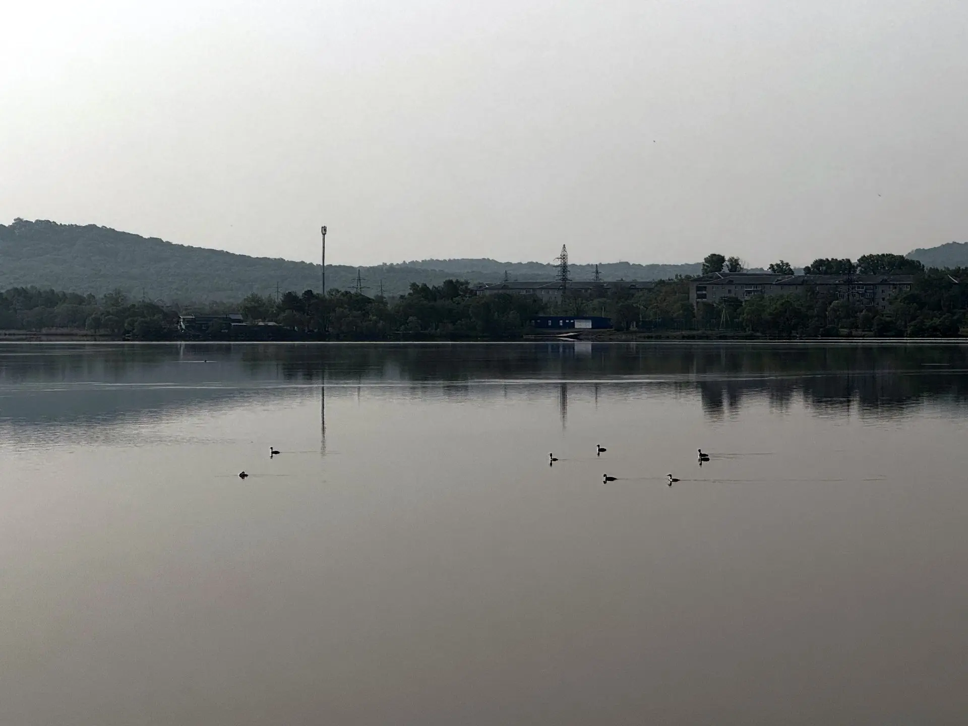 #ПриморскаяГРЭС_напозитиве
Пернатых вам в ленту: на водохранилище замечены поганкообразные*.
🐦‍⬛Эти
