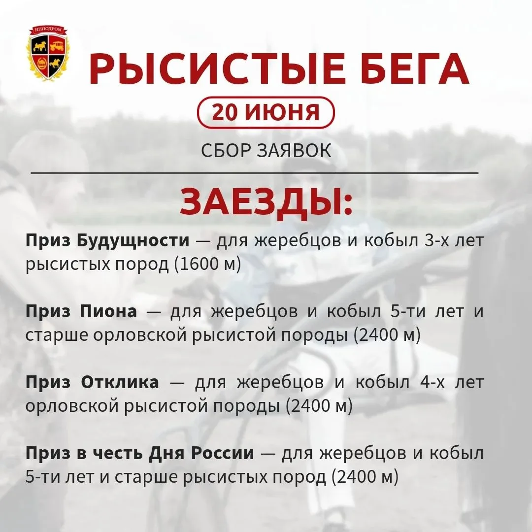 Открыт приём заявок на участие в рысистых бегах
📍 20 июня, суббота. Старт в 11:00
В программе бегов