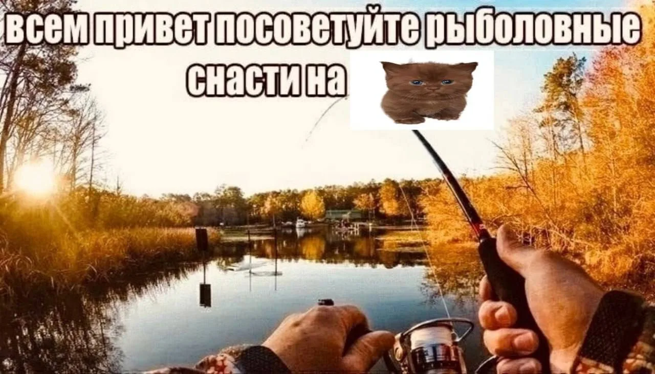 котов так не поймать же

🐈КОТИКИ