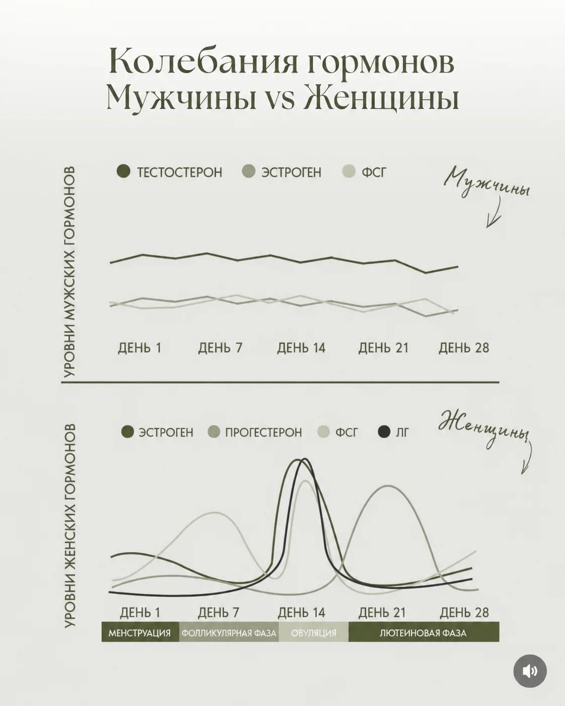 Очень наглядная картинка, почему мужчинам и женщинам тренироваться одинаково — не совсем одинаково �