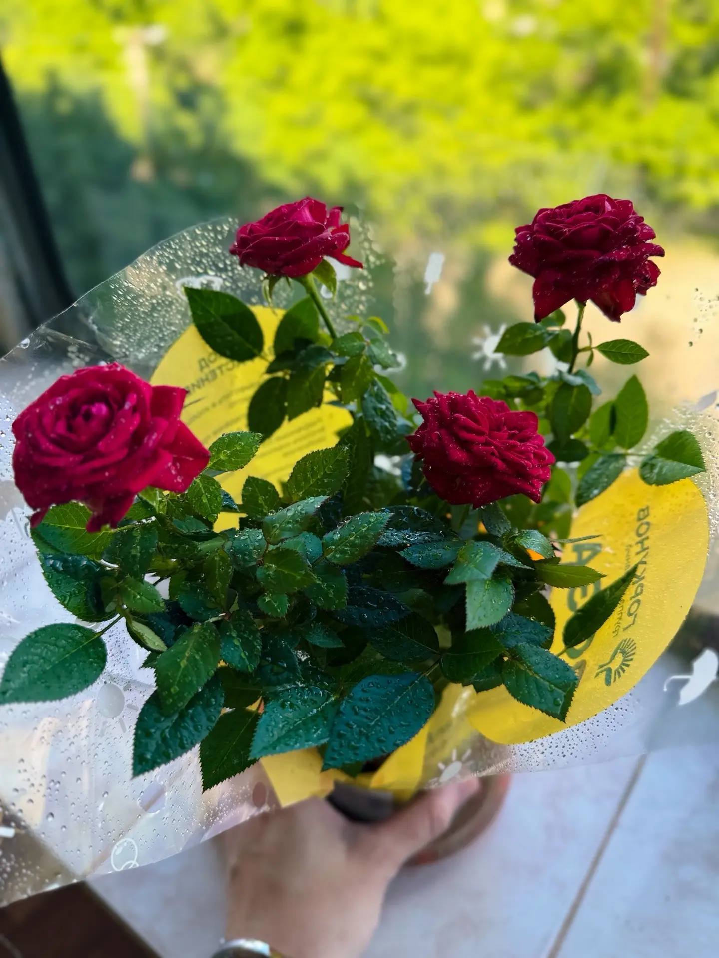 ما كُتِبَ لكَ سيأتيكَ ولو بعد حينٍ.

То, что тебе предназначено, придет к тебе, даже спустя время. �