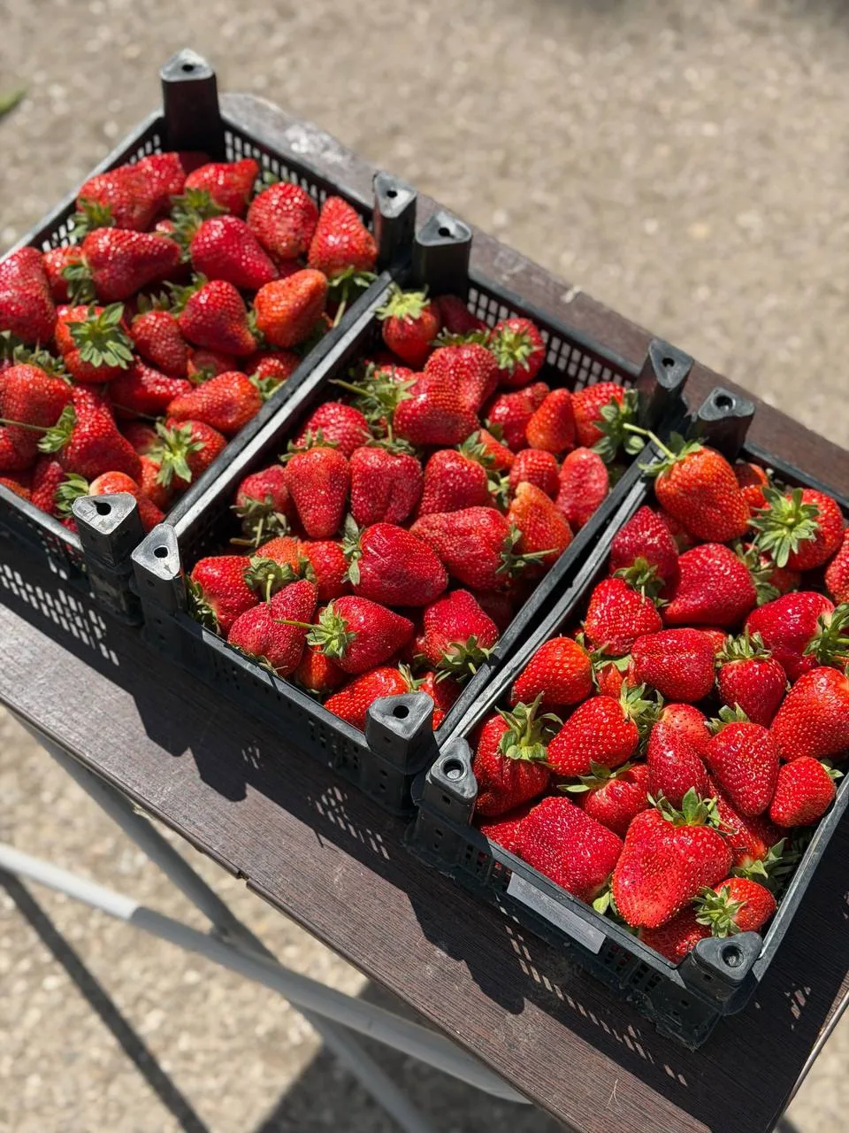 Ведь целый ящик клубники будет всего -599 ₽ 🍓