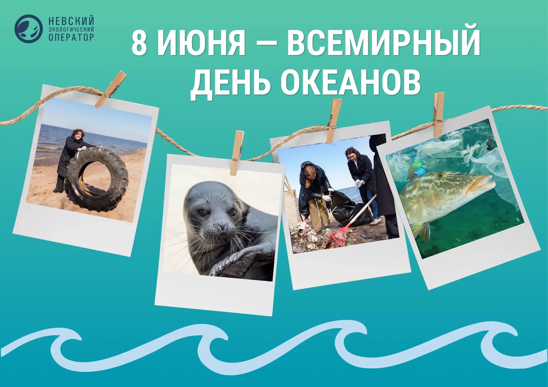 8 июня — Всемирный день океанов.🌊
Санкт-Петербург находится на берегу Финского залива Балтийского м
