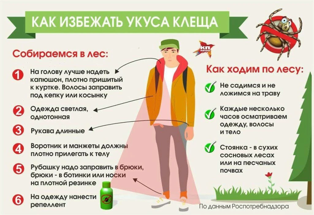 📢«8 интересных фактов про клещей и меры профилактики»
Про то, что клещи способны передавать человек
