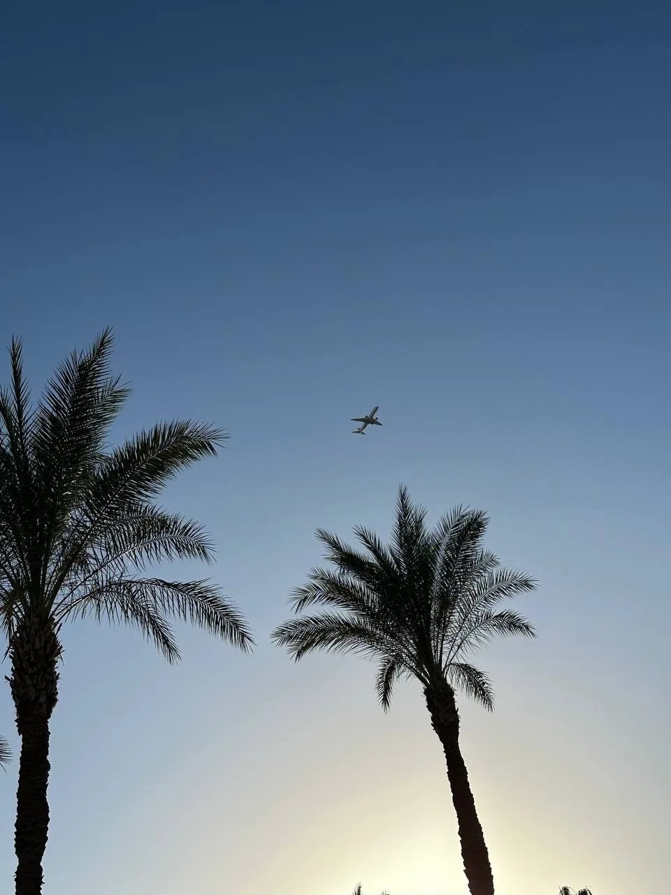 Хургада ✈️ из Челябинска 23.06 -9 ночей🔥
🏨 Zahabia 3* - 143 000 на двоих
🏨 Sphinx Aqua Park 4* - 