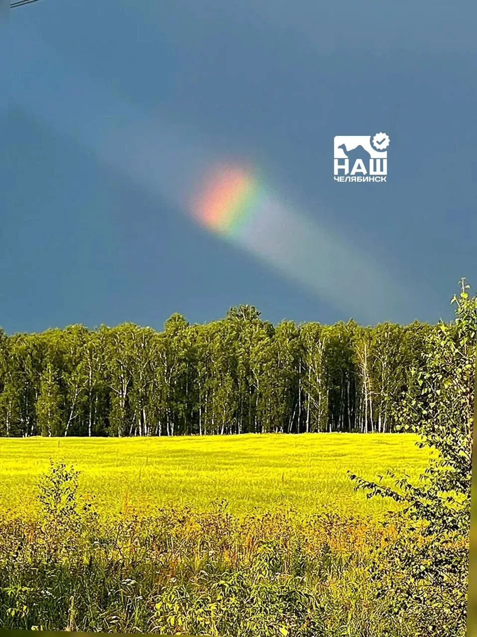 ❗️На трассе Мисяш — Чебаркуль сфотографировали редкую иризацию облаков

Солнечный свет проходит чере
