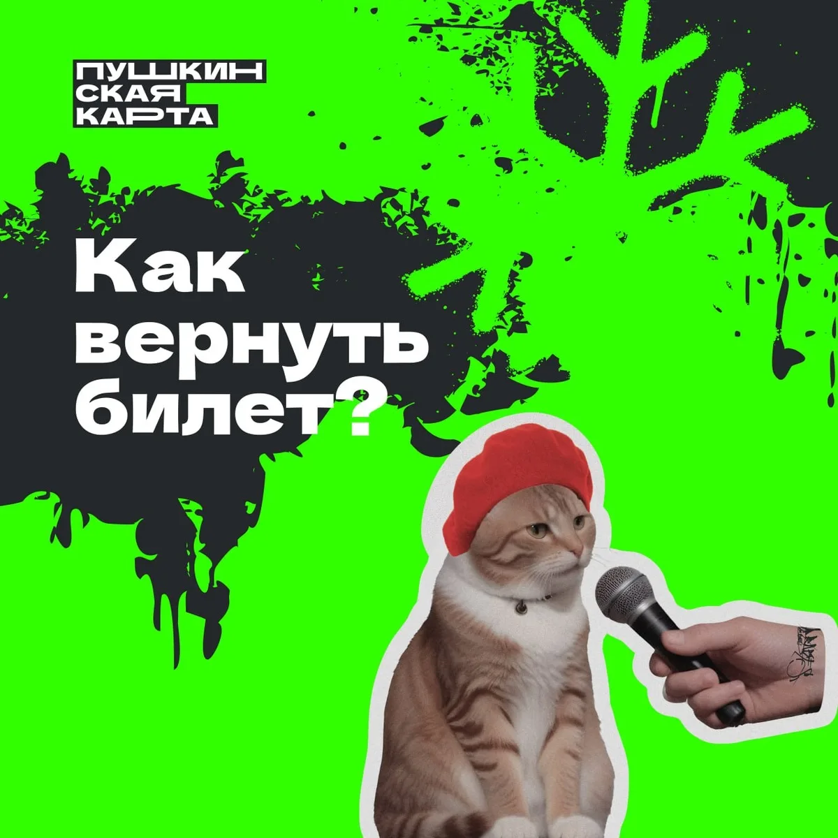 Как безболезненно вернуть билет, купленный по «Пушкинской карте»?  Представь: ты запланировал поход 