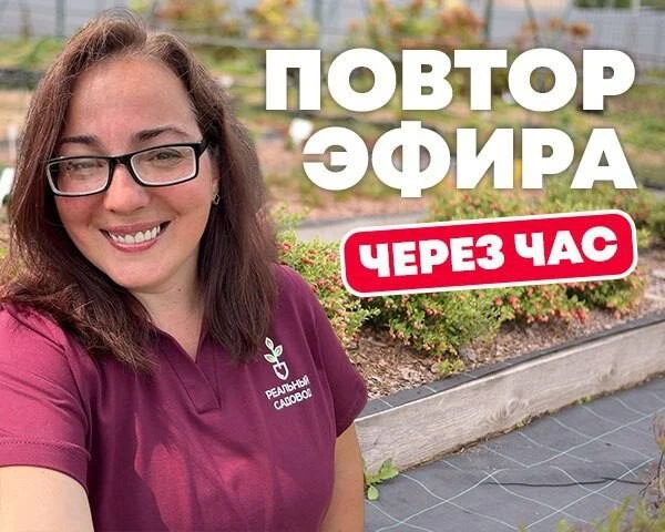 Уже через час повтор эфира. 

Кто вчера не смог, не успел, сегодня быть💯

Заряд энергии гарантирую 