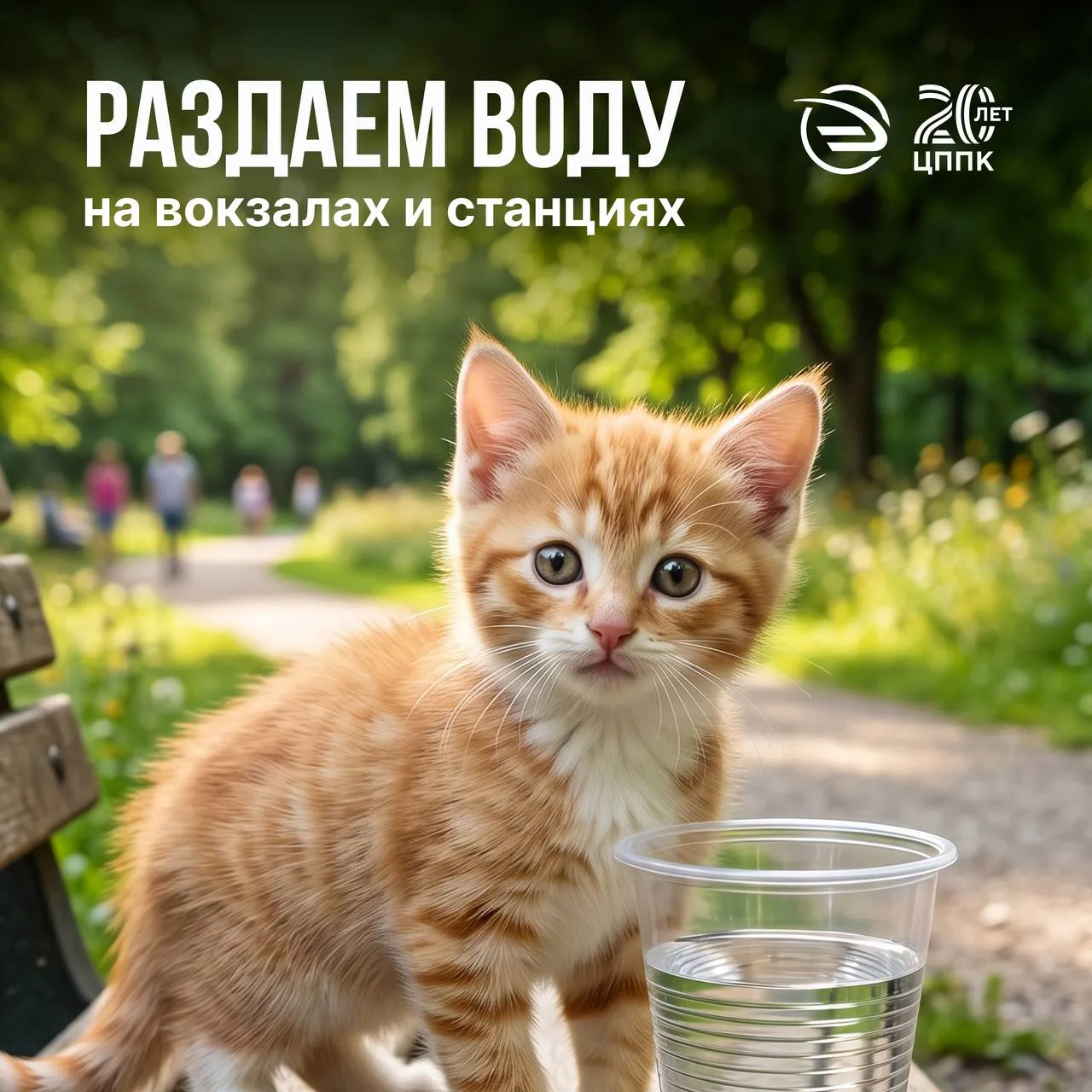 ☀️ Вторая неделя лета

Надвигается жара, сегодня воздух в столице прогреется до +28°, а мы готовы к 