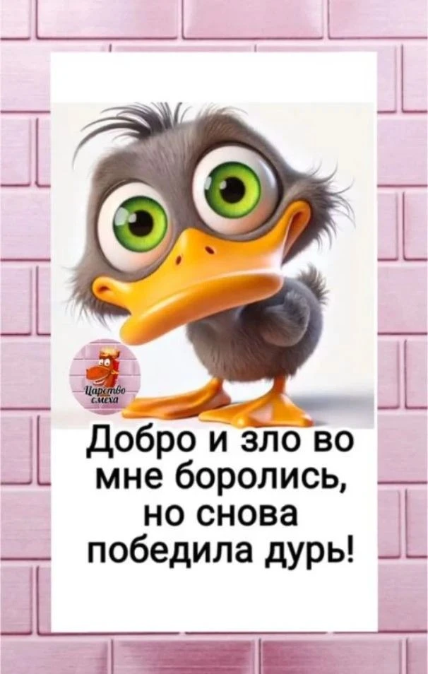 Золотая середина🤣