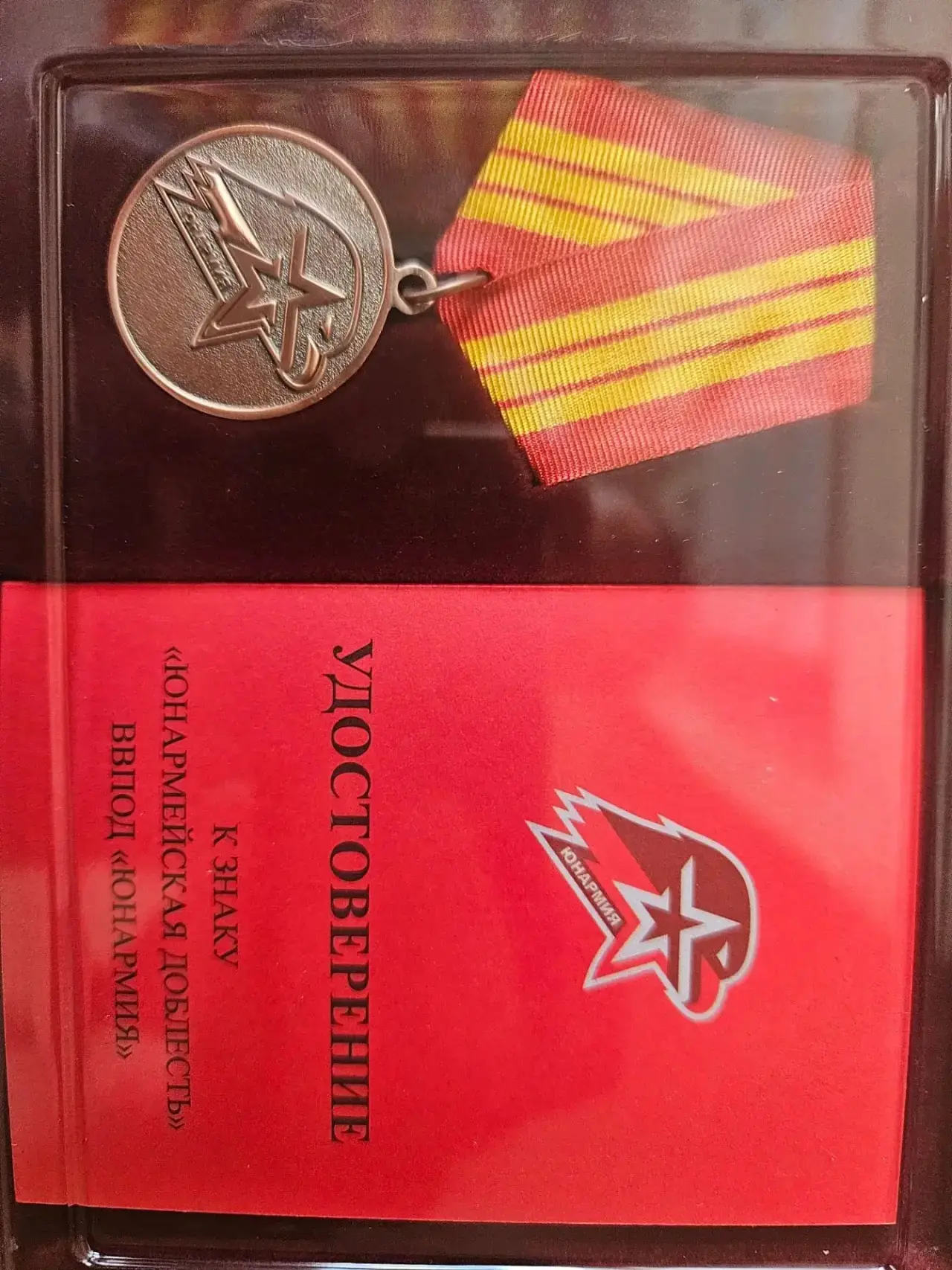 Ученик 11 "А" класса Андреев Дмитрий был награжден медалью "Юнармейская Доблесть" за активное участи