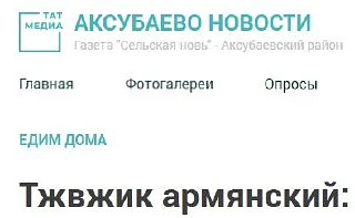 и другие секс истории из Аксубаева

Мы в МАХ
