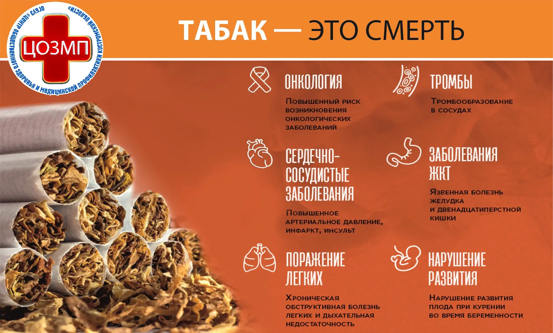 🚭 «НЕДЕЛЯ ОТКАЗА ОТ ТАБАКА» — ЗАБОТИМСЯ О ЗДОРОВЬЕ ВМЕСТЕ!

С 25 по 31 мая 2026 года в России прохо