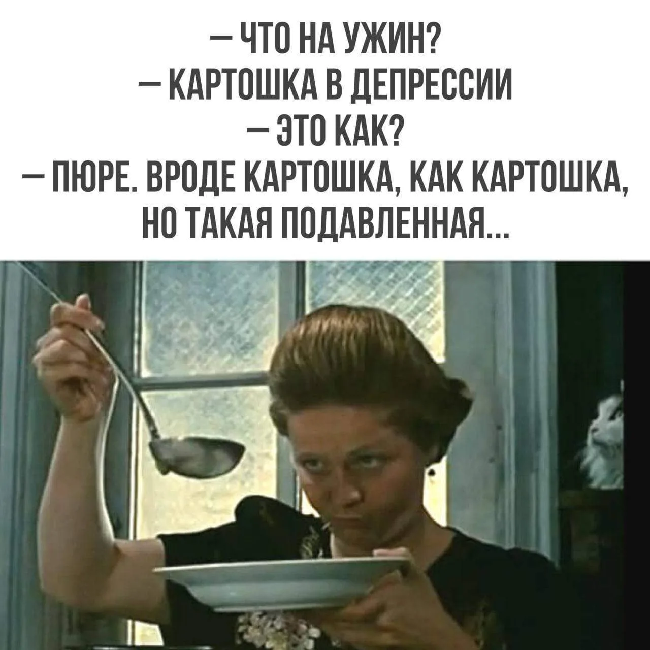 КУКУРУЗА 🌽