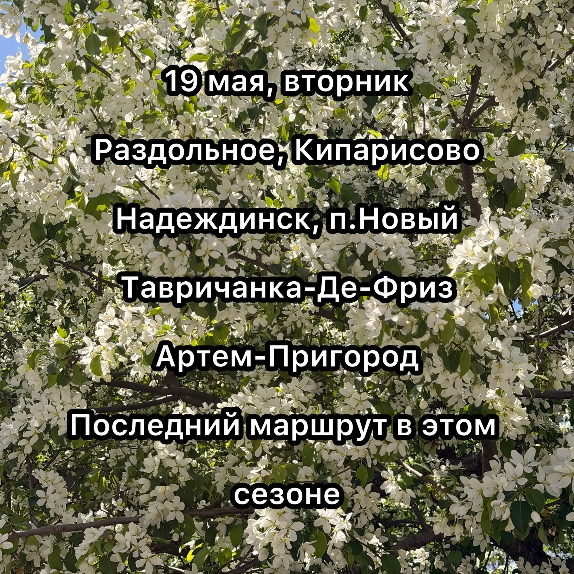 Доброе утро! Надеждинский район- последний маршрут в этом сезоне 

В наличии отборно-крупный картофе