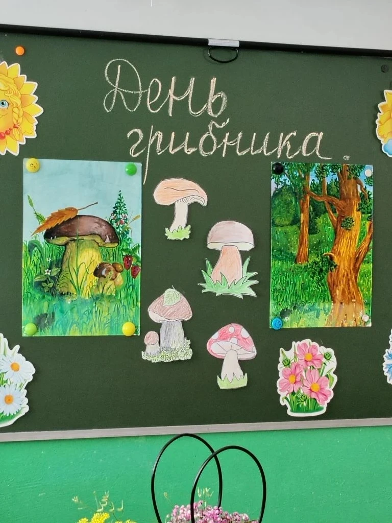 "День грибника".
После утренней зарядки и вкусного завтрака наш день разделился на увлекательные кон