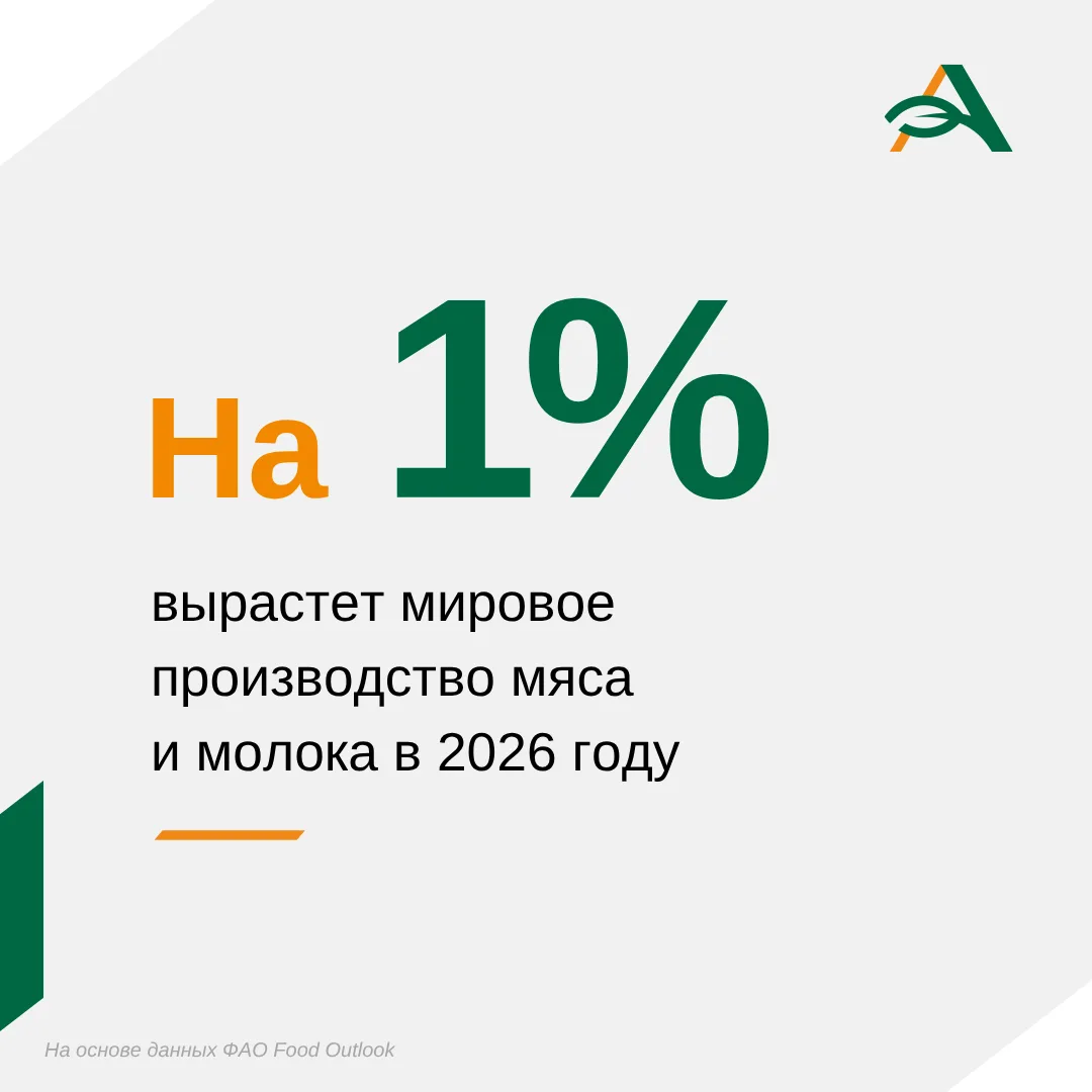 Мировое производство мяса и молока вырастет на 1% в 2026 году

Производство мяса достигнет 391 млн т