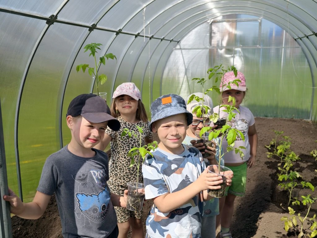 🌱 От семечка до грядки.
Сегодня воспитанники группы «Пчёлки» успешно высадили рассаду томатов в теп