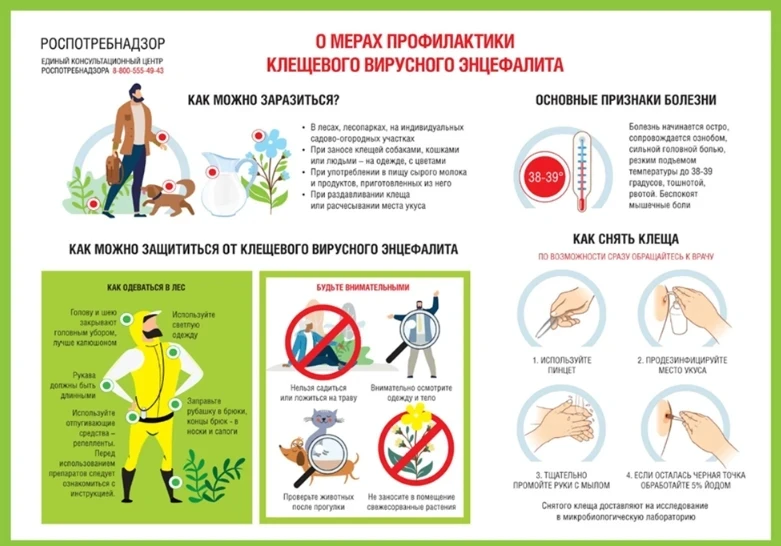 Осторожно, клещи! Сезон активности начался 🕷️⚠️
Друзья! С наступлением тёплой погоды в парках, леса