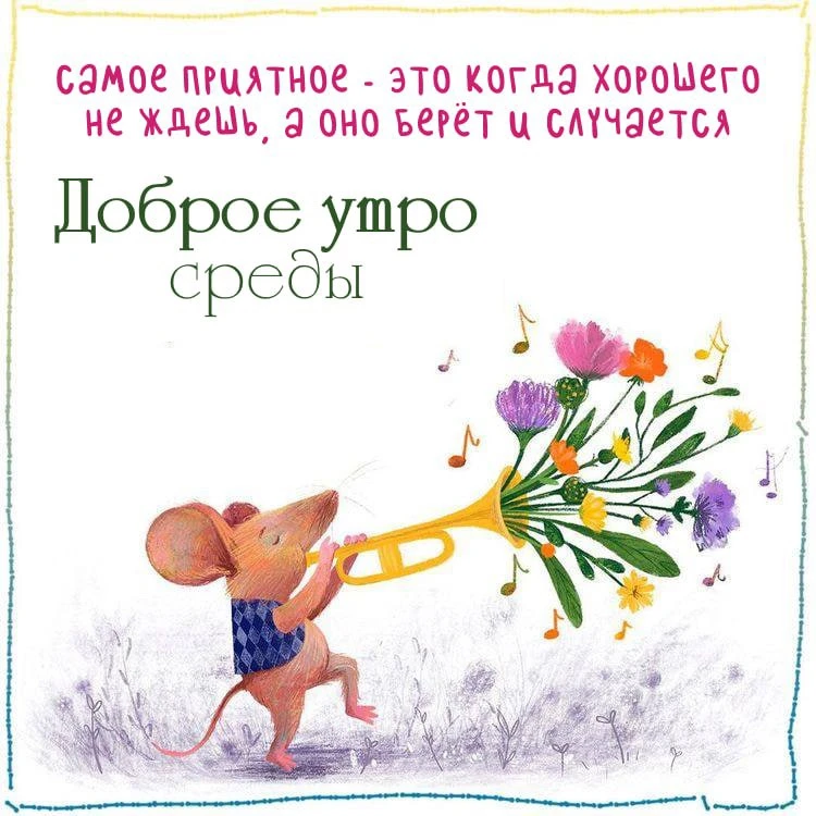 Доброе утро и хорошего дня! ☀️