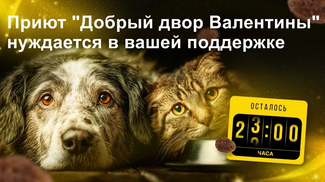 Через 4 часа заканчивается «корзина помощи» для приюта "Добрый двор Валентины" г. Кемерово. В городе