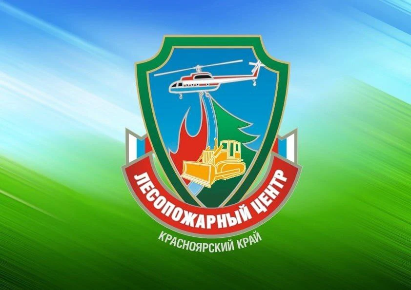 🔔За минувшие выходные в регионе ликвидировали 31 лесной пожар на площади 991 га. Очаги действовали 