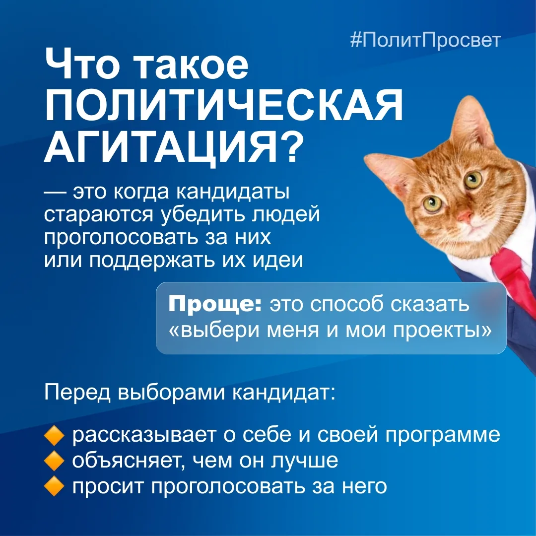 Что такое политическая агитация и зачем она нужна?

На эти вопросы с легкостью отвечают котики-полит
