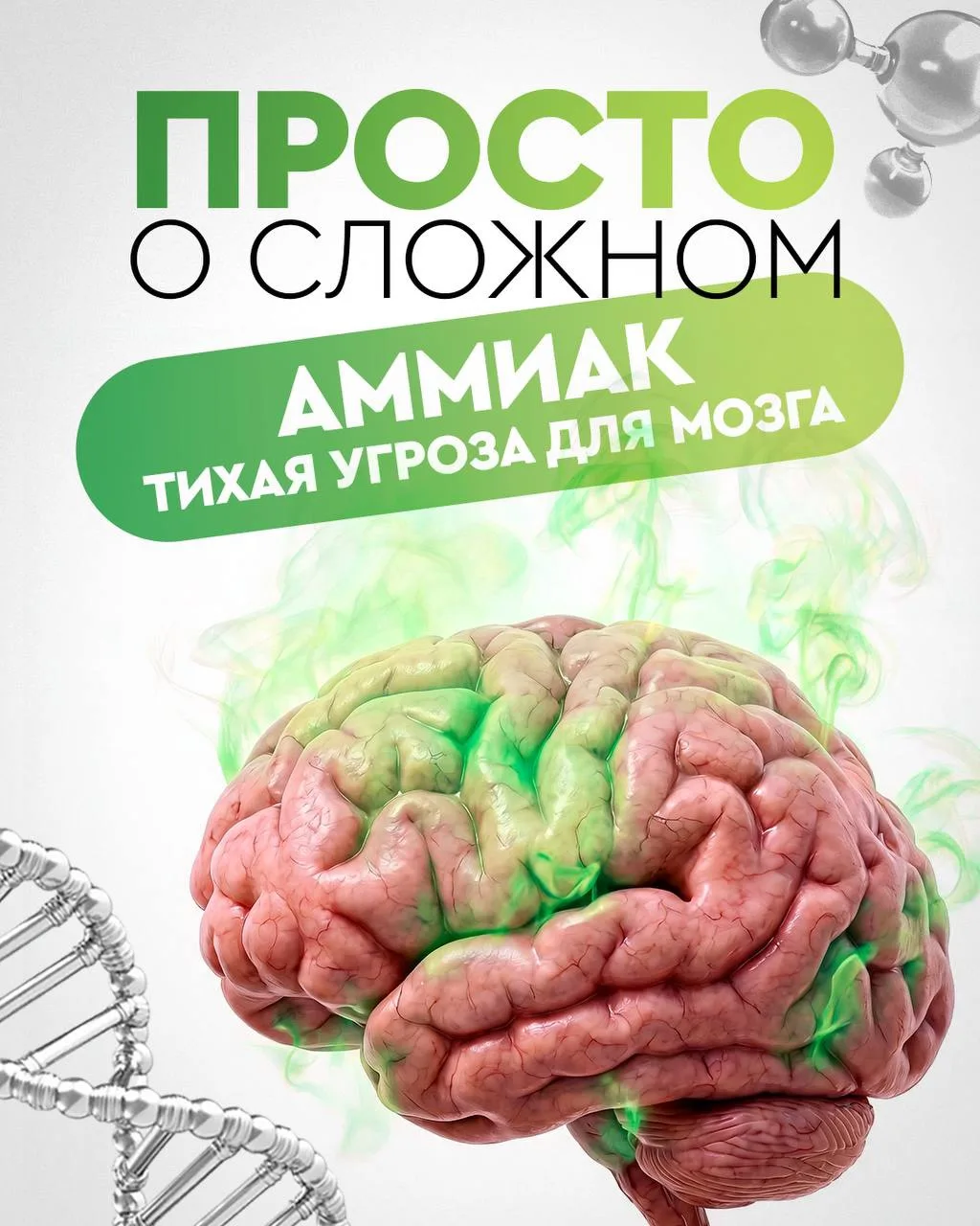 Знаете ли вы, что аммиак — это не только «нашатырь в аптечке», но и ваш внутренний нейротоксин?

Амм