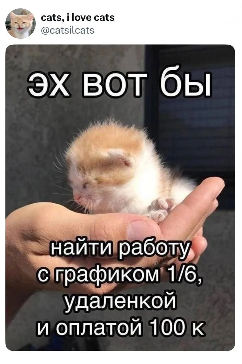 Конец понедельника ощущается так:
