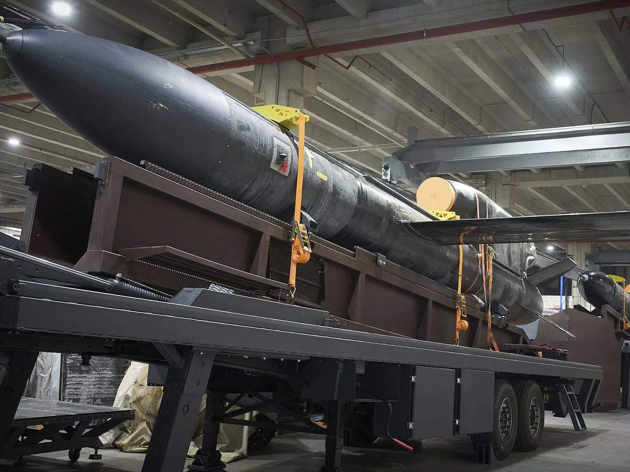 Немецкая компания Diehl Defence планирует производить украинские крылатые ракеты «Фламинго». 

Сотру