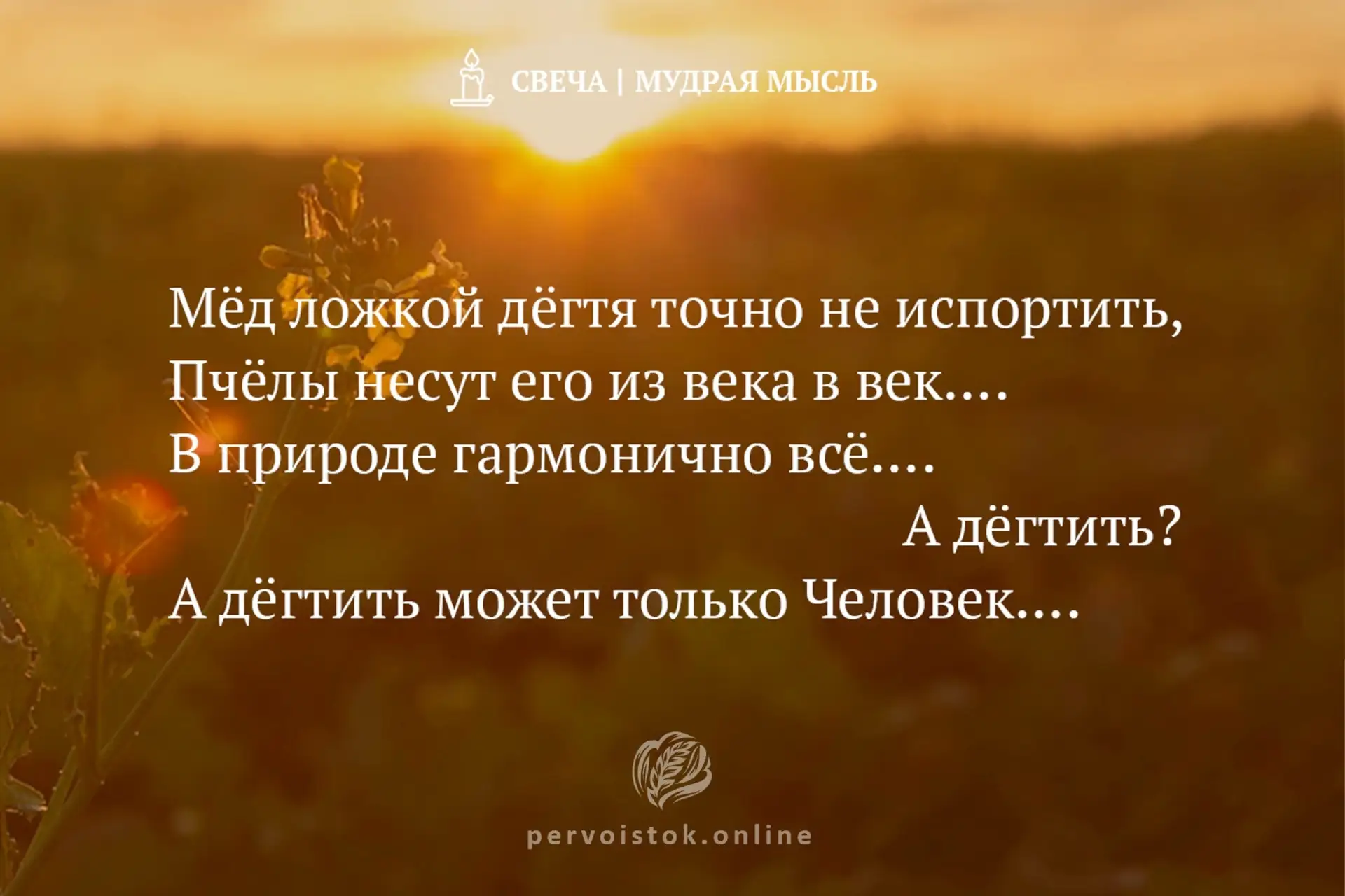 #СвечаДня → мудрость, воспринятая с вечера. #НаПодумать…
❗️ Свечи и Сутры являются действующей основ