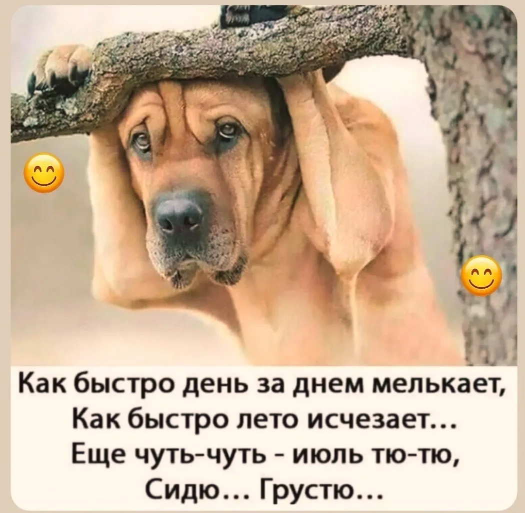 Женский юмор