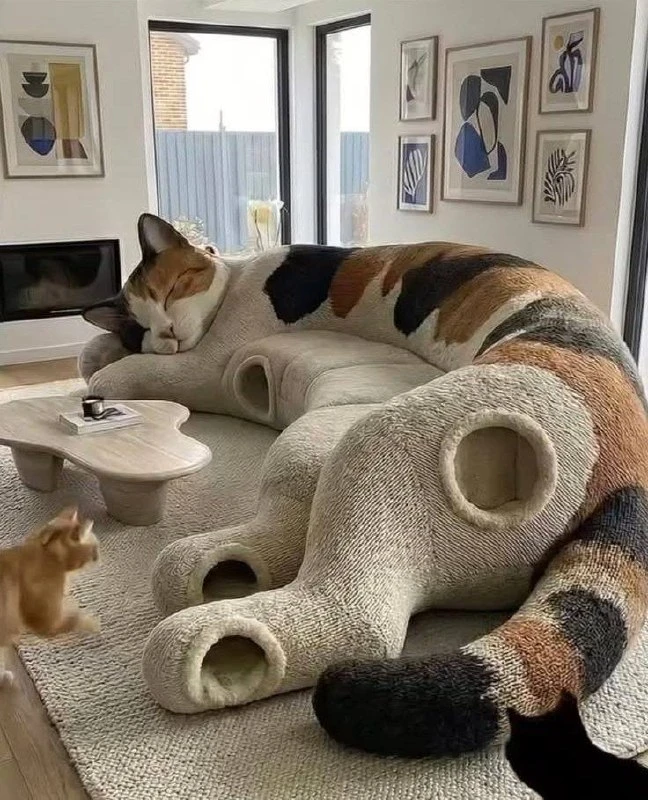 Нам с котом срочно нужен такой диван 🙂

Понравилось видео?
Поставь ❤️
Подпишись на наш канал!👇

🐱
