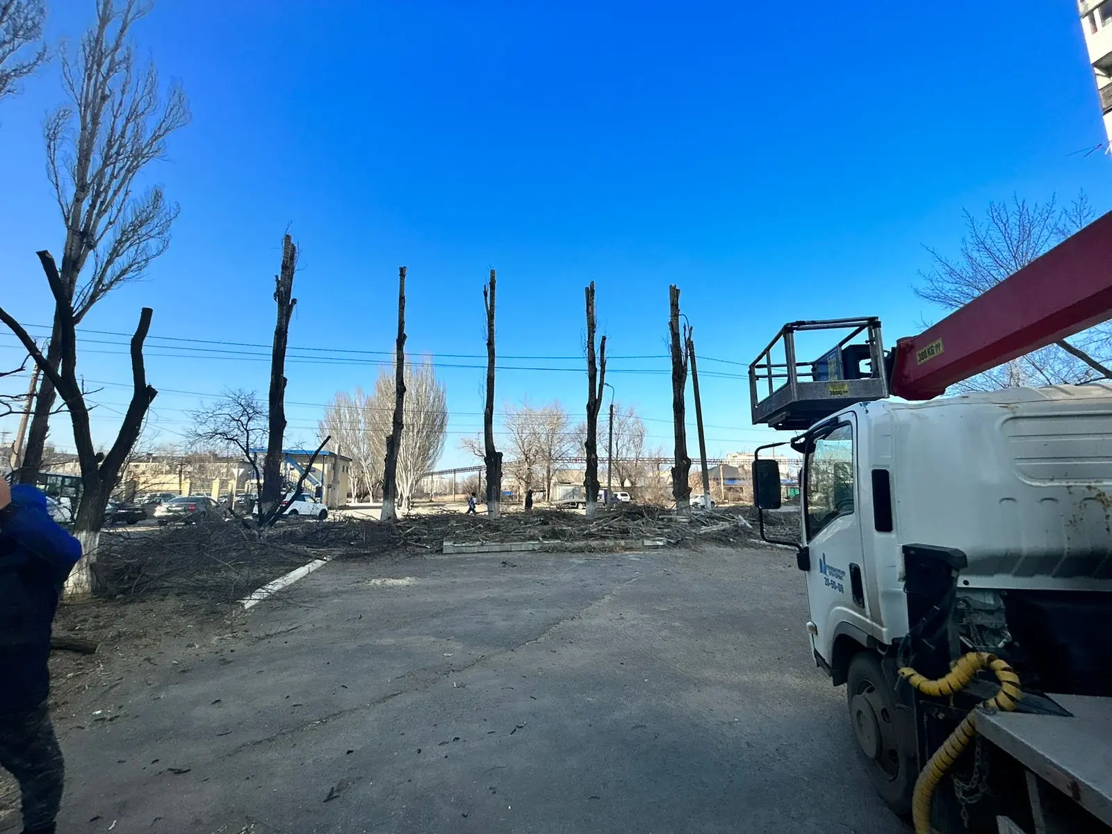 🪚 Опиловка деревьев 

✅23.03.2026 г. на МКД N 98, 98Б по улице Кирова была выполнена опиловка дерев
