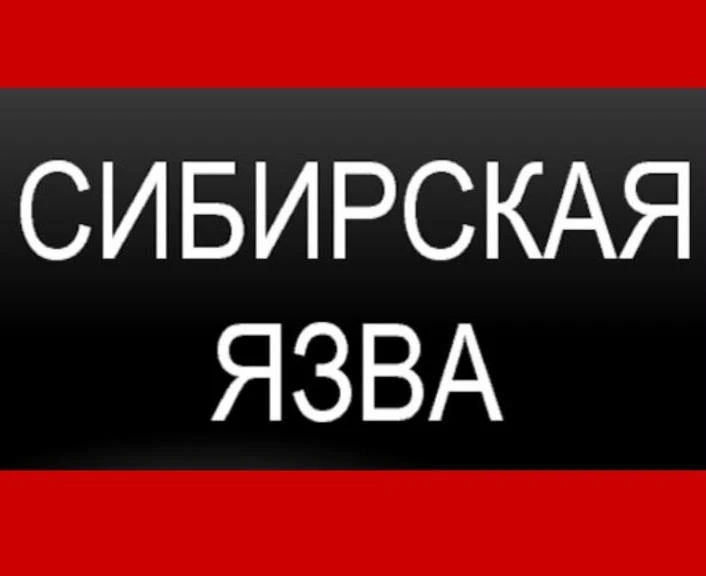 Сибирская язва.
-особо опасная зоонозная инфекционная болезнь млекопитающих животных, протекающая в 