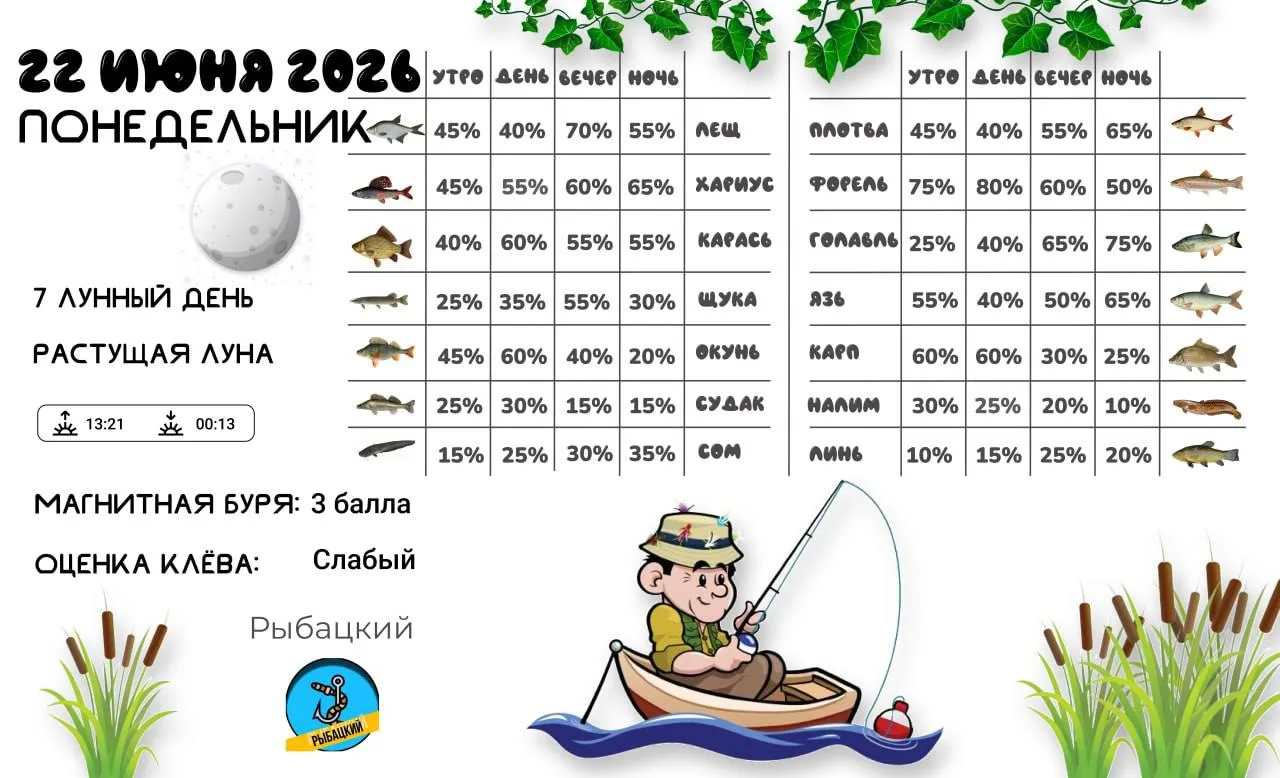 Прогноз клёва на 22 июня по фазе и состоянию луны 🎣

Дочь (4 года) лезет в раковину с почищенной ры