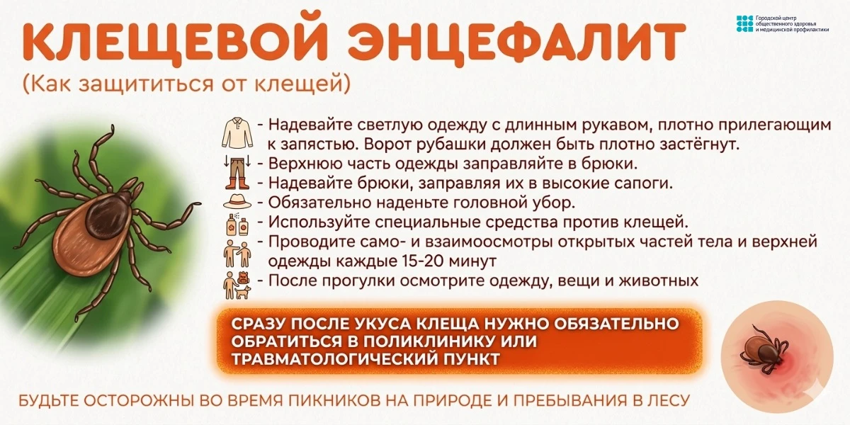 Клещевой энцефалит