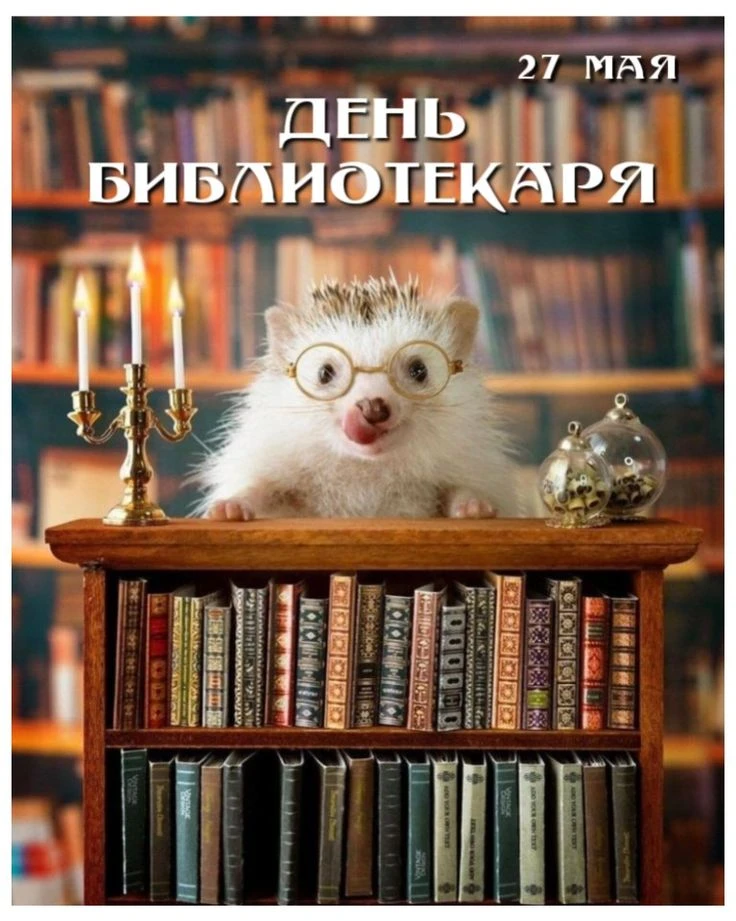 🗓️ 27 мая — Общероссийский день библиотек!📚

🔎Основан в 1995 году, дата отсылает к созданию Импер