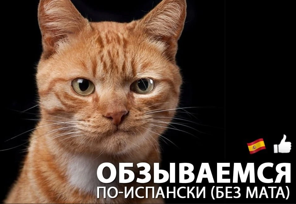 ОБЗЫВАЕМСЯ ПО-ИСПАНСКИ (БЕЗ МАТА)

Всем привет! Сегодня шуточный, но и в то же время полезный пост. 