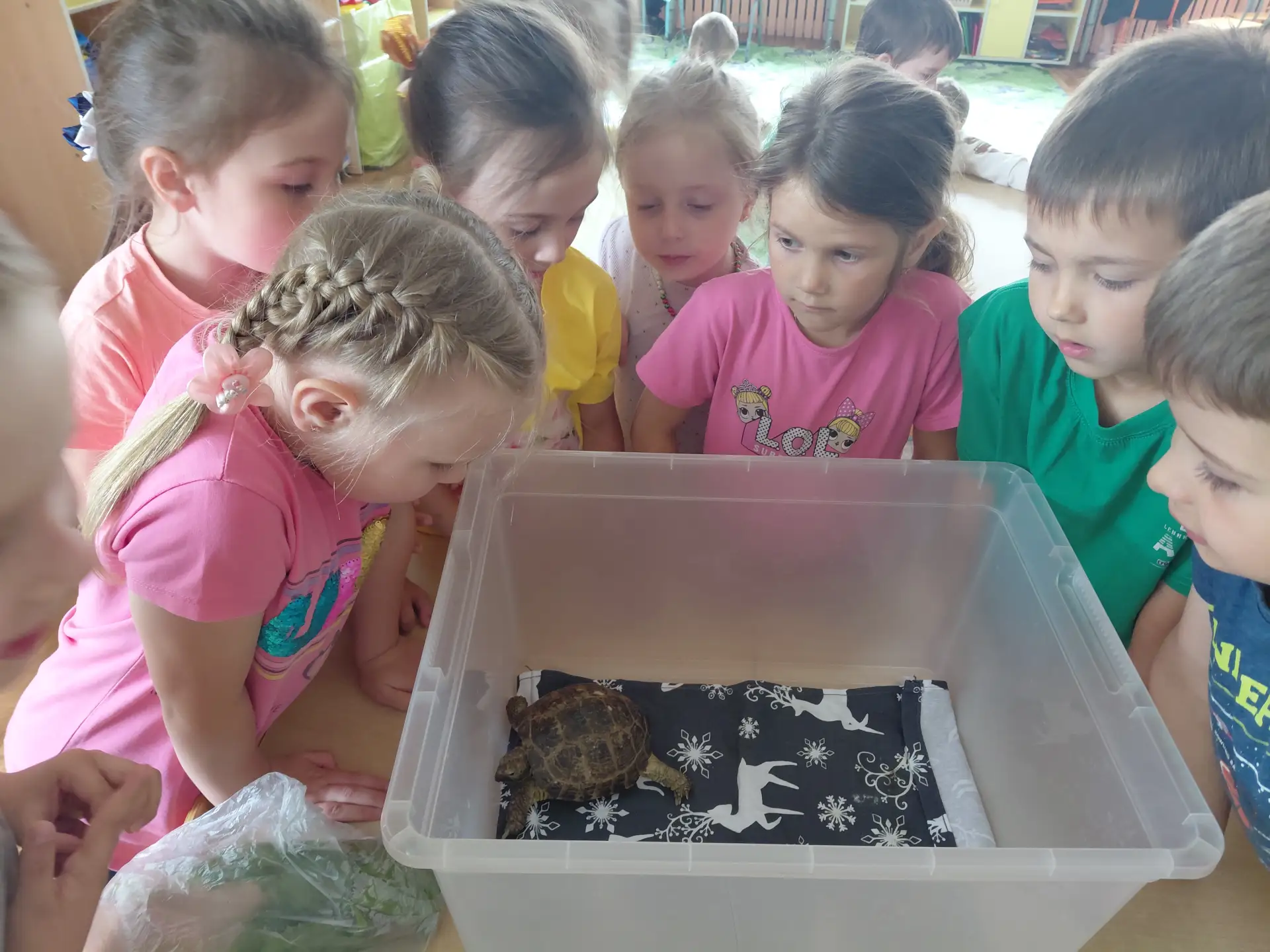 #СемьЯэтоМы
#Большаясемья_Тверскиетрадиции #Семейныеценности_Тверскаяобласть #МАДОУдетскийсадСолнышк