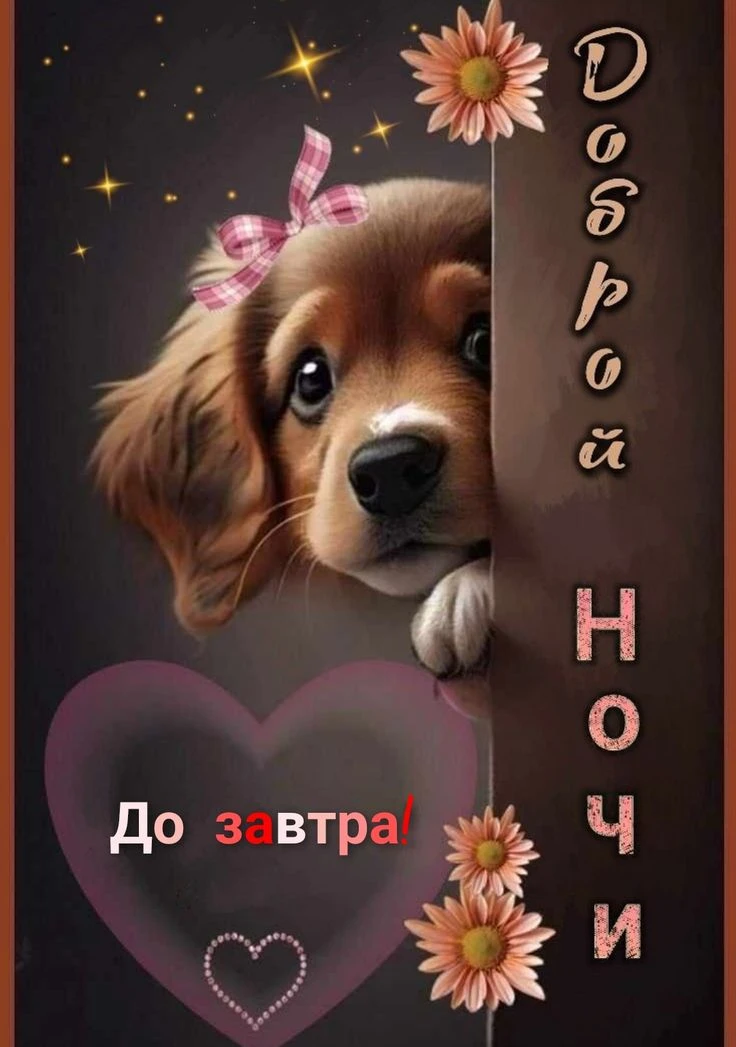 Открытки с Душой | Подписаться
Добрые Открытки | Подписаться