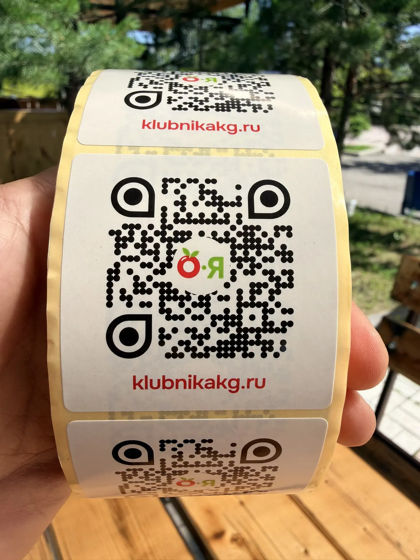 🍓 НЕМНОГО НОВОСТЕЙ ПРО ЯГОДУ

Друзья, пока между поставками образовалась небольшая пауза, я не сиде
