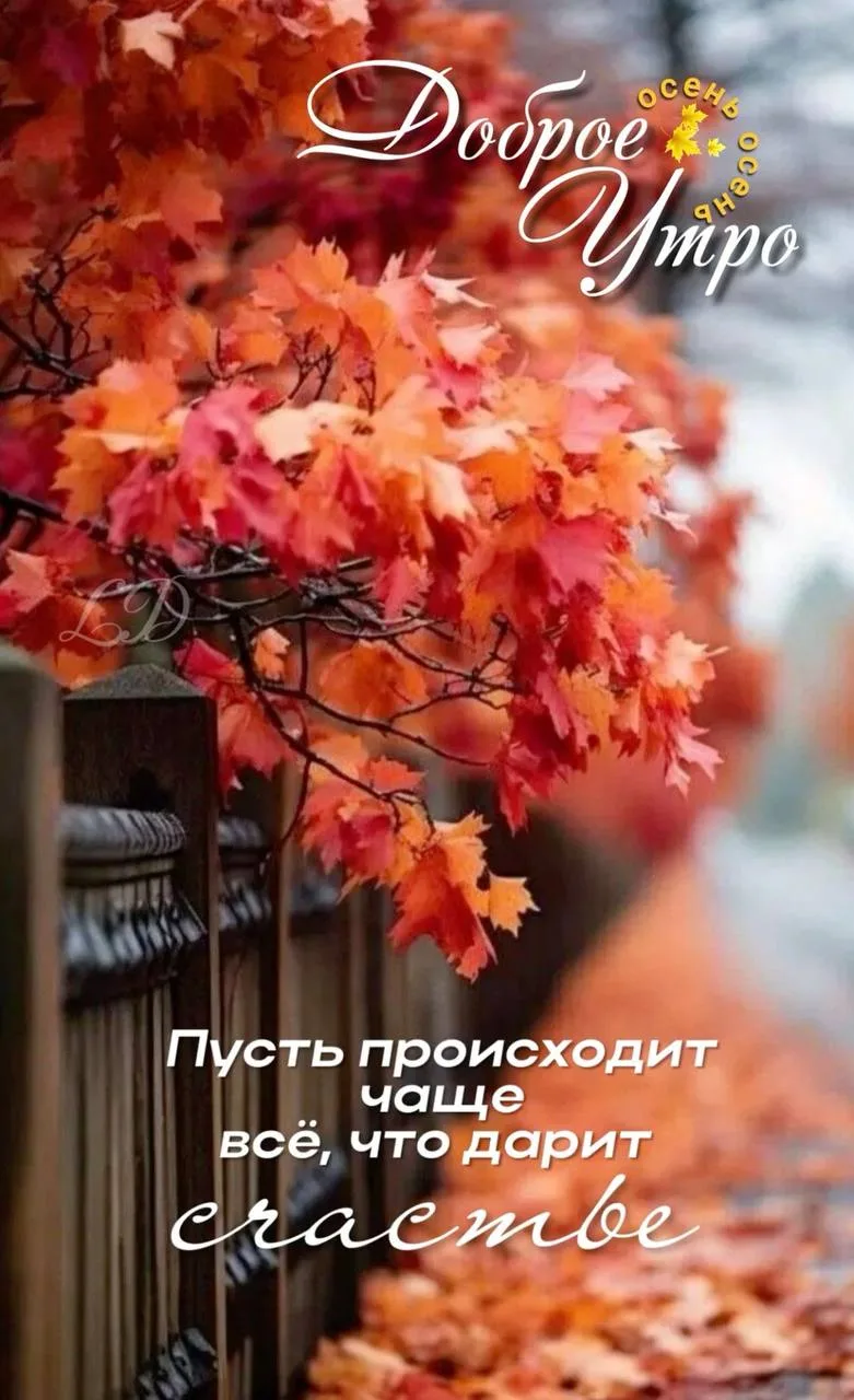открытка / поздравление / праздник

https://max.ru/derzhi_znachok
