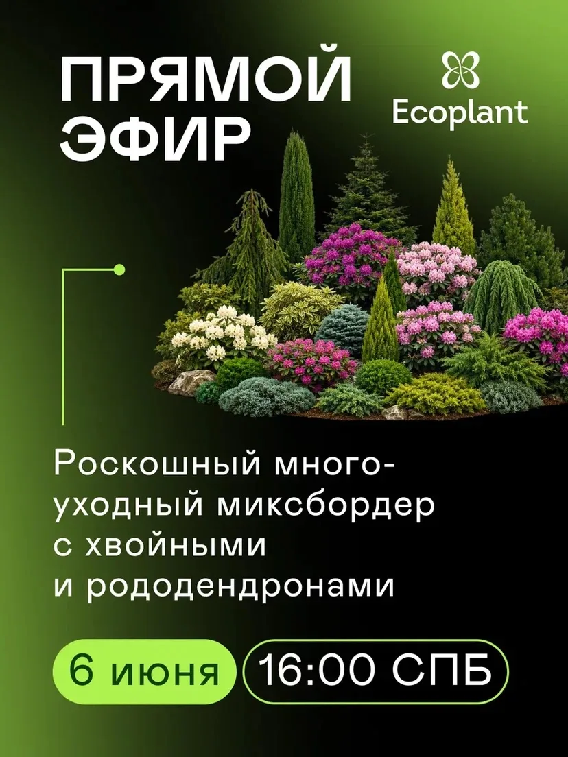 Друзья, встречаемся завтра на стриме с площадки питомника Экоплант в Санкт-Петербурге. В прямом эфир